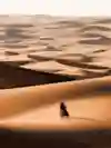 SI202401070194