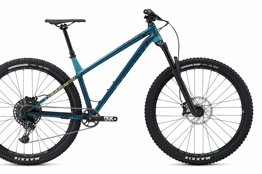 Hardtail of the year on sale 2020
