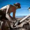 Creating MTB lines