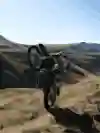 Wade Young pulling a wheelie