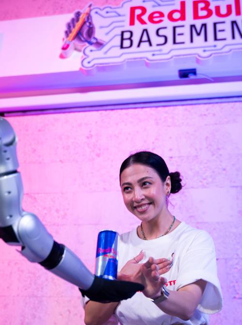 Red Bull Basement