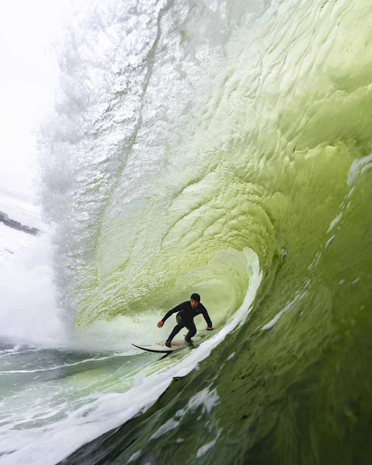 Conor maguire surfer clearance