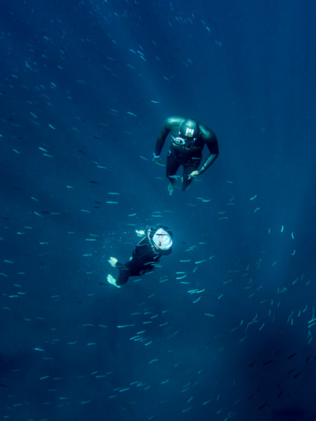 Deux spécialistes de la plongée en apnée nous expliquent les effets sur le métabolisme des apnéistes quand ils plongent vers les abysses.