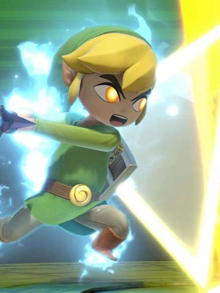 Wind Waker Link bringing the pain