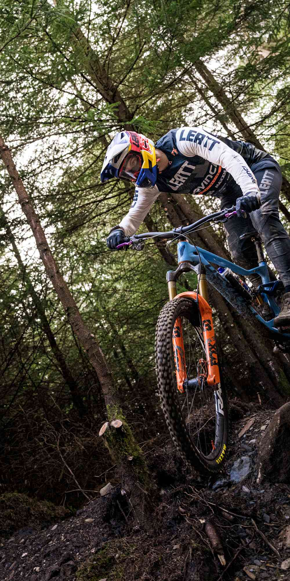 Greg callaghan mtb best sale