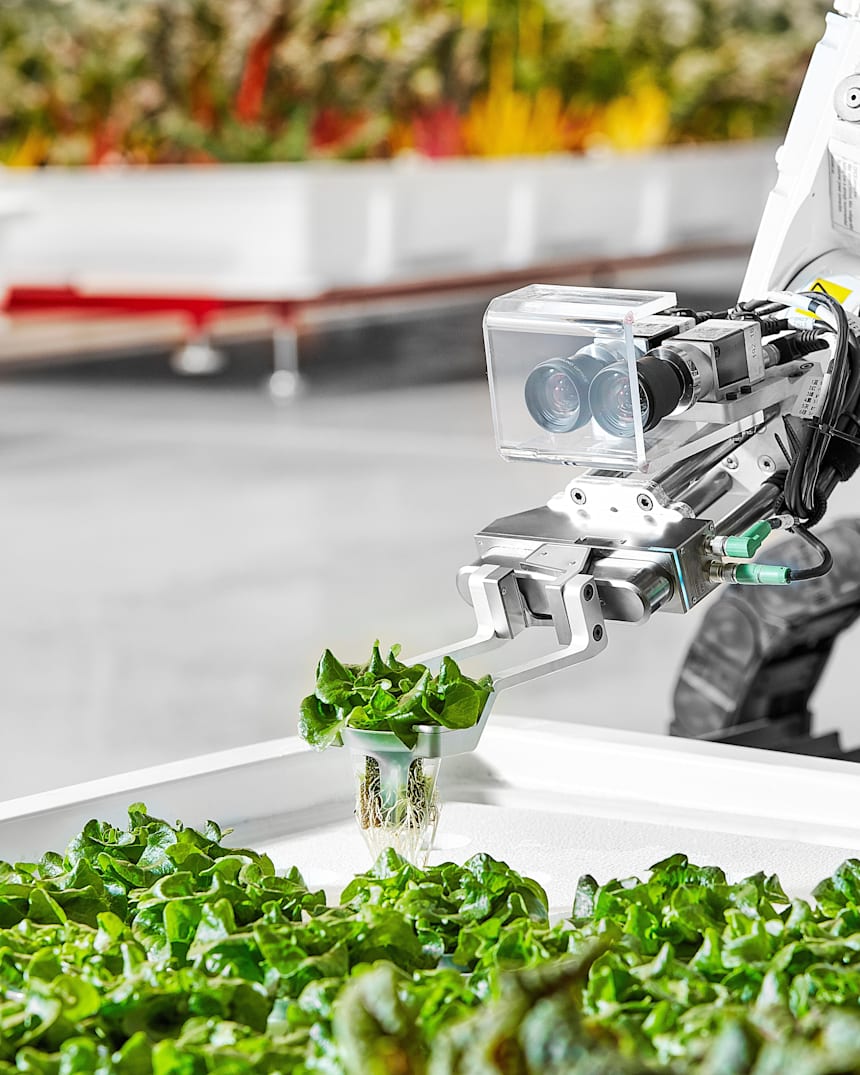 The Future Of Food 11 Interesting Developments To Come
