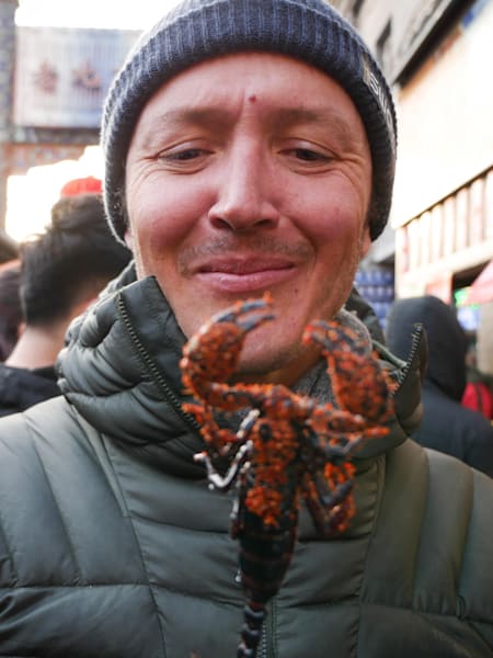 Aquí se comen los escorpiones