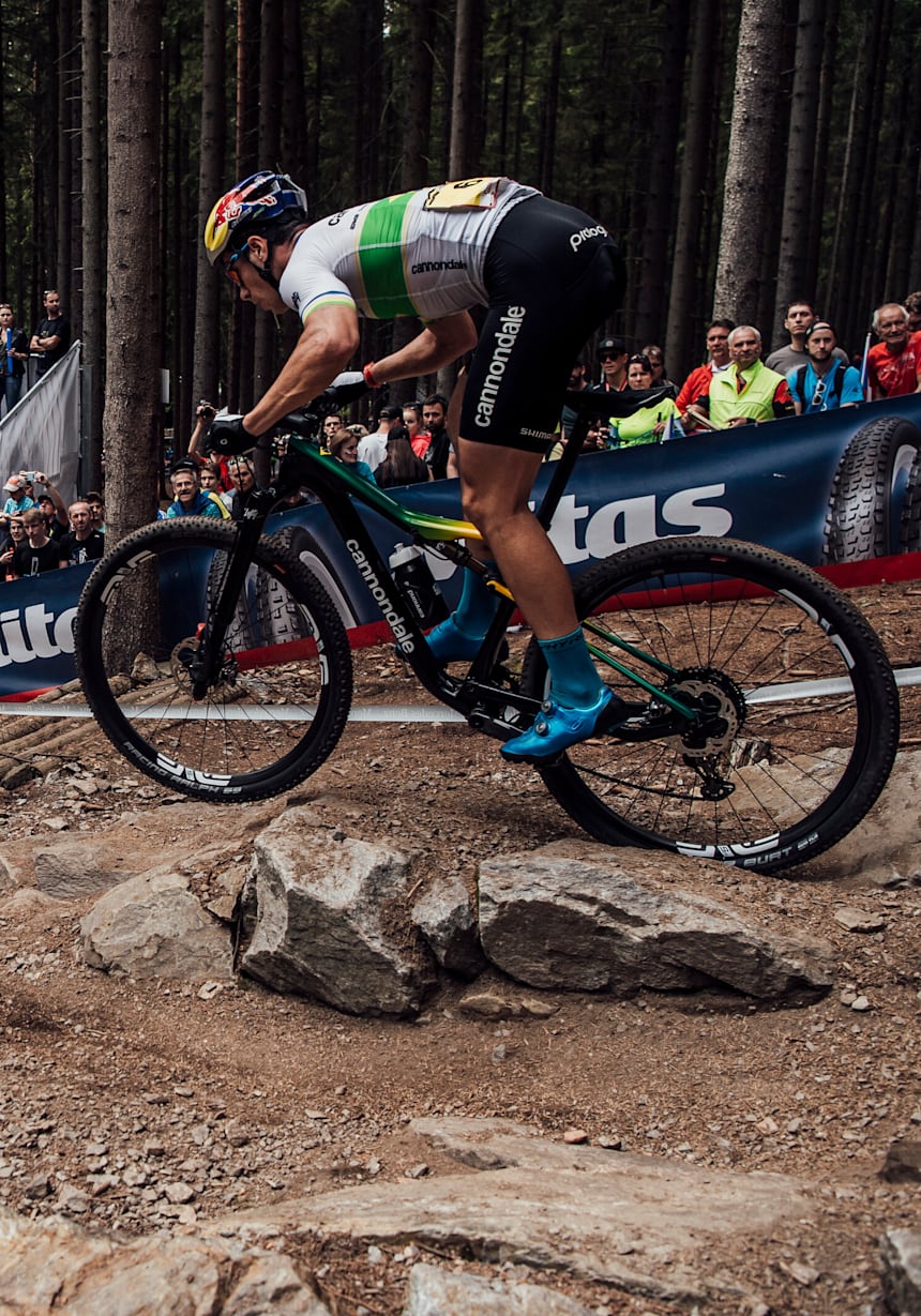 cannondale xc mtb
