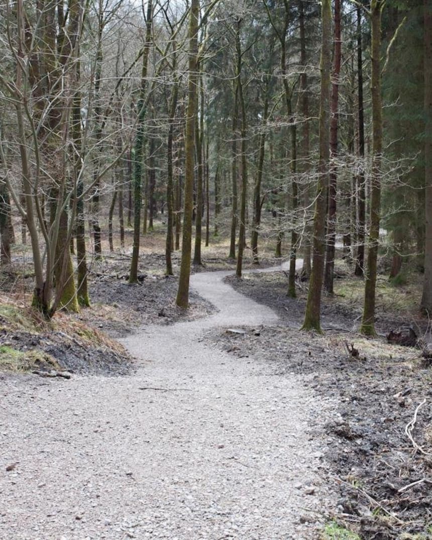 forest of dean mtb trails