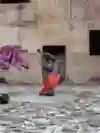 Screenshot from This is My Hood S1 E4, taken in Chennai.