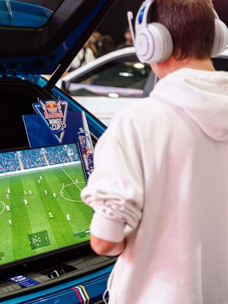 Red Bull Wings Cup
