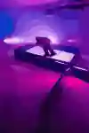 Jesper Tjäder rides the spider rail against a background of blue and pink lighting.