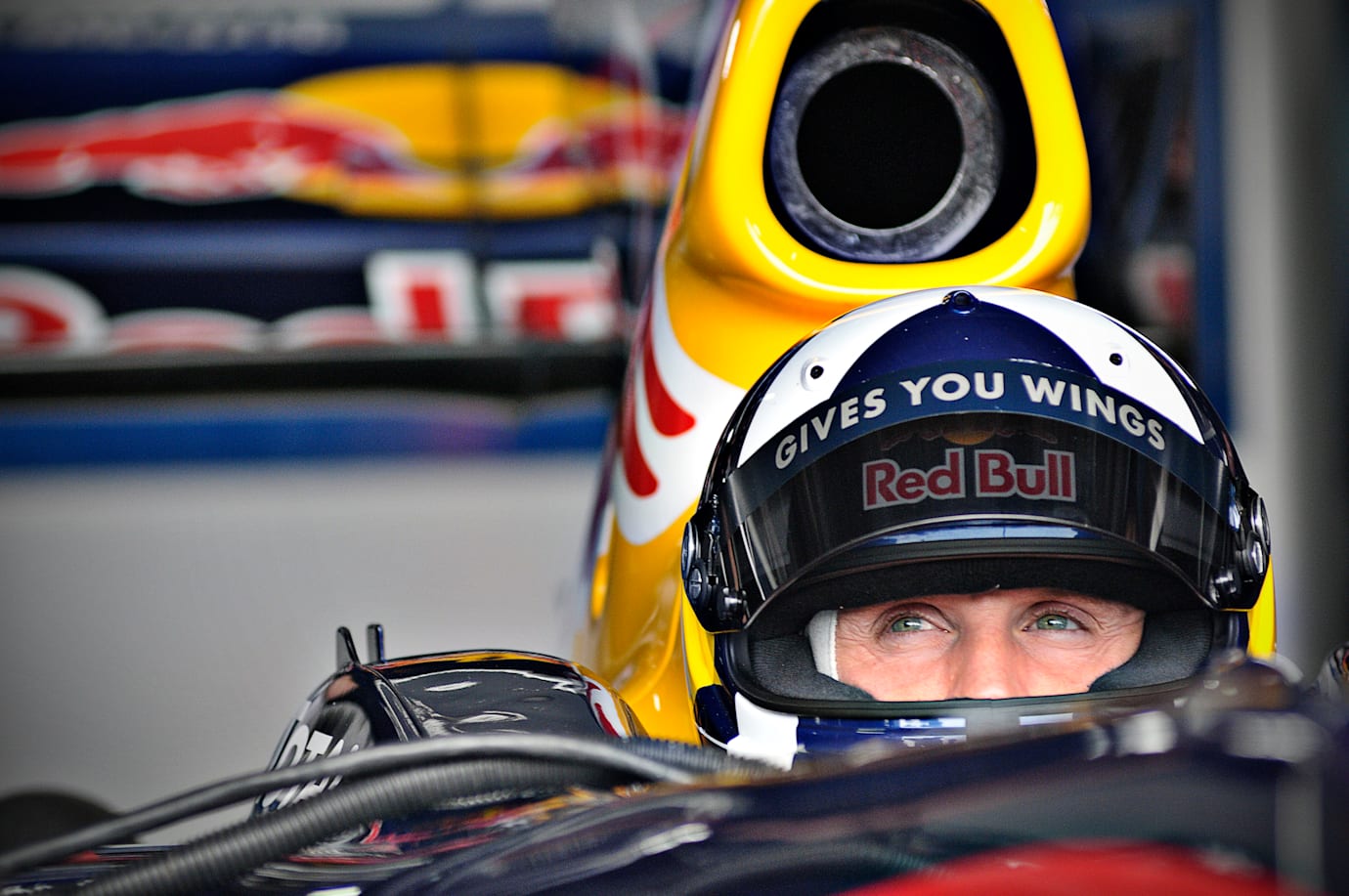 David Coulthard al volante della Red Bull Racing nel 2008.