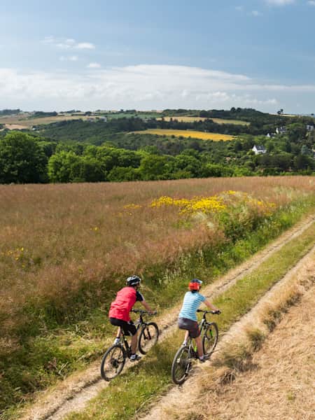 Vtt occasion finistere discount