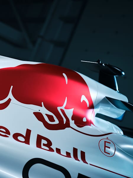 Боковая часть RB21 в качестве тизера к ливрее для Гран-при Сузуки 2025 года с Honda. 