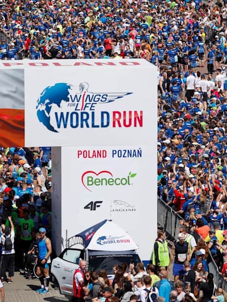 Run 2018 on sale