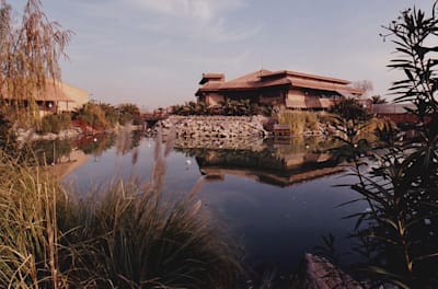 Universal Island