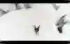 Freeskier during production of Drop Everything.