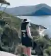 Taking it all in