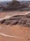 SI202101130151