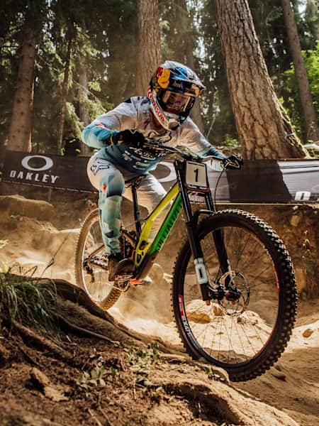 UCI DH