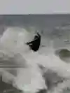 A surfer rides the waves in Italy.