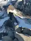 Jim Reynolds on the lowest ridge on Guillaumet, the Giordani in Patagonia.
