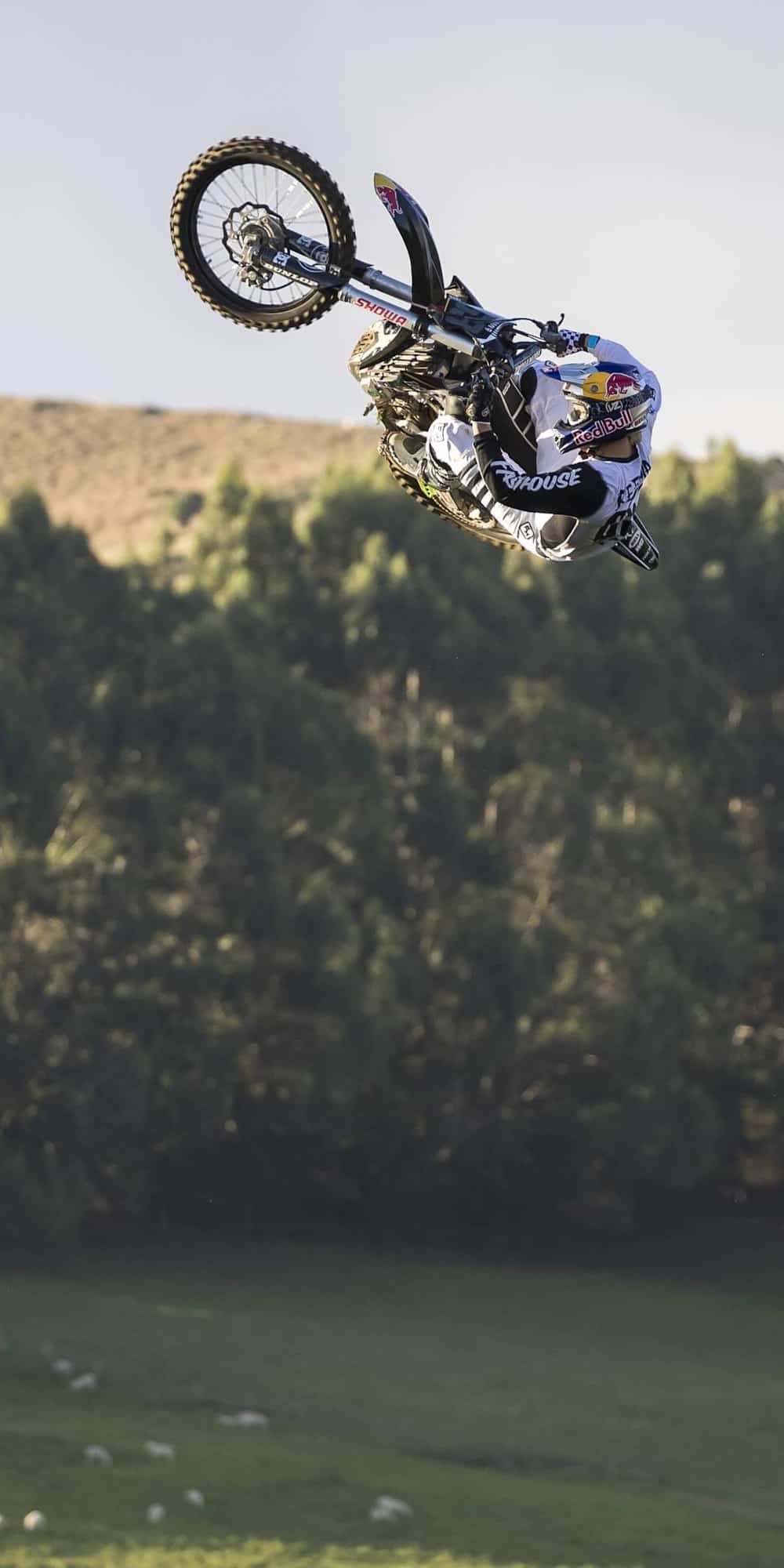 Tyler bereman bike best sale