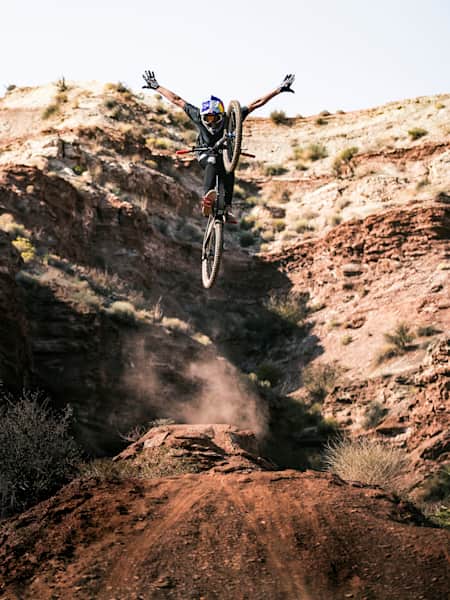 Freestyle mtb deals