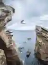 SI201906200360