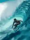 Surf Sessions S4 E11 Art