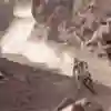 Marc Coma beşinci yıldızı taktı