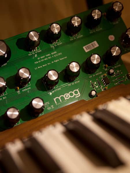 All moog synths outlet