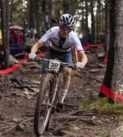 Uci xco vallnord store