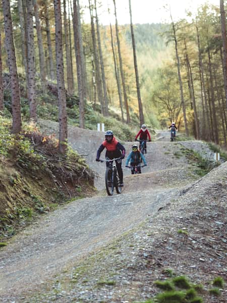 Mtb of the year 2019 cheap