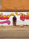 Hubertusjagd S3 E6 Medellin Art