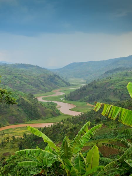 El río zigzaguea en plena jungal