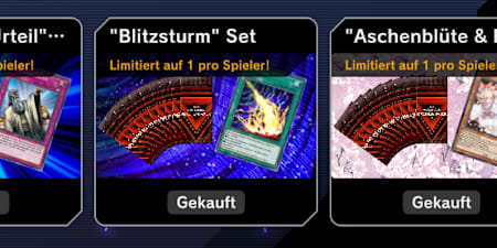 Eine Ansicht, welche die 3 Bundles im Shop zeigt