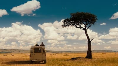 The Bucket List
