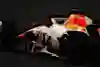 Isack Hadjar of France driving the (6) Visa Cash App Racing Bulls VCARB 02 on track during day three of F1 Testing at Bahrain International Circuit on February 28, 2025 in Bahrain, Bahrain. 