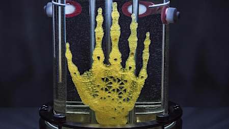 Amy Karle's Regenerative Reliquary