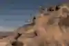 Tom van Steenbergen nails a huge front flip at Red Bull Rampage 2024 in Virgin, Utah.