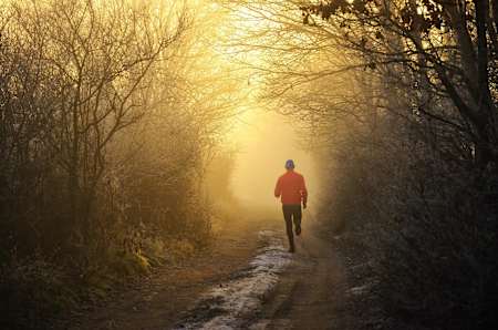 沿著綠樹成蔭的小徑奔跑到霧濛濛的明亮中。