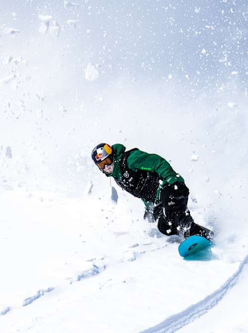 Natural Selection Tour Trailer Art