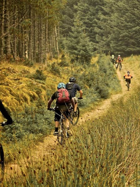 Thetford forest mtb 2025
