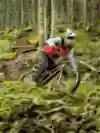 Sound of Speed Episode 10 Finn Iles Art