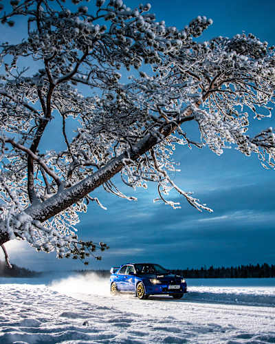 WRC 2021 - Finland - Hero Art