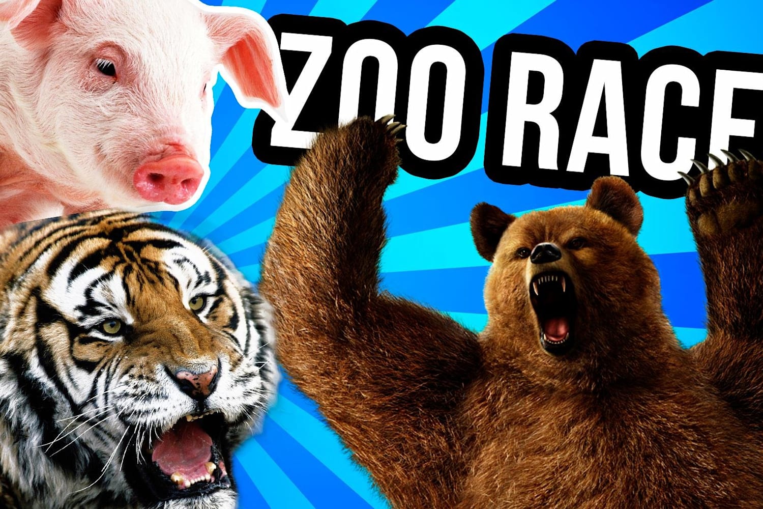 Gameplay Orkun Işıtmak ile The Zoo Race