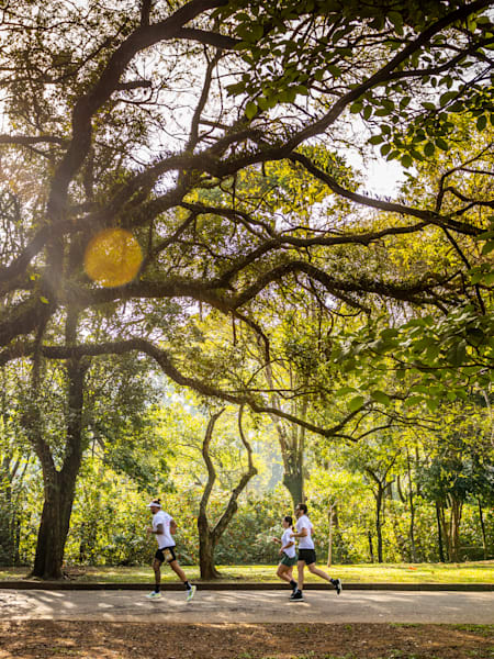 Participantes da Wings for Life no Ibirapuera