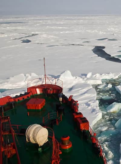 Cómo visitar el Polo o Sur: